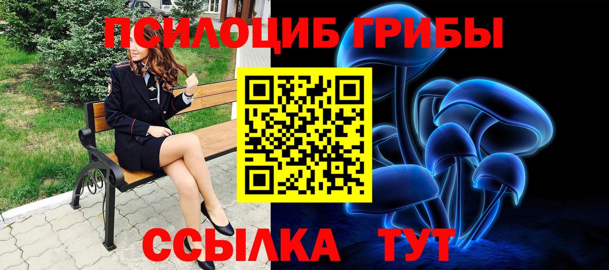 Галлюциногенные грибы прущие грибы Коряжма