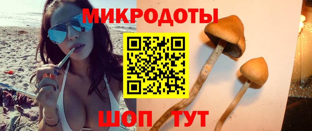Галлюциногенные грибы GOLDEN TEACHER  Вход с VPN  Коряжма 